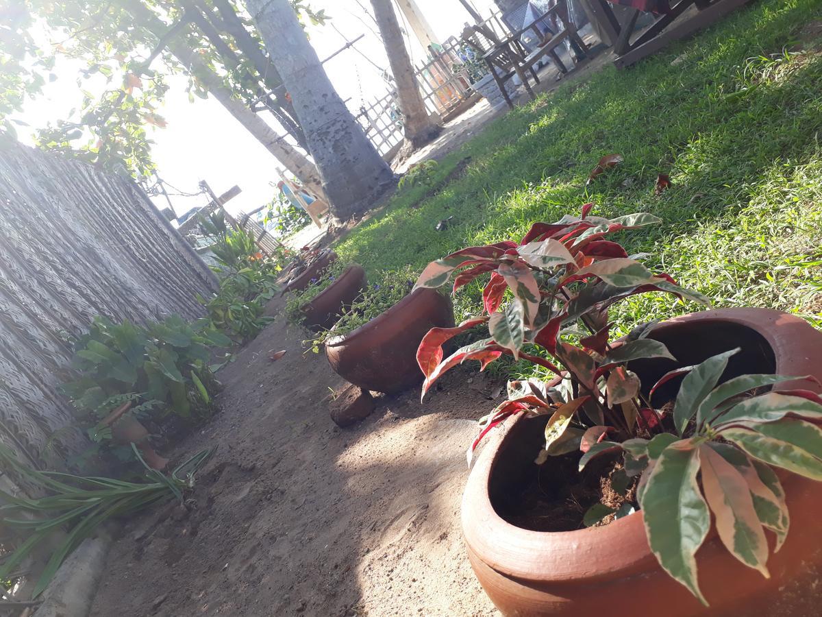 Sea Shine Beach Resort Mirissa Zewnętrze zdjęcie